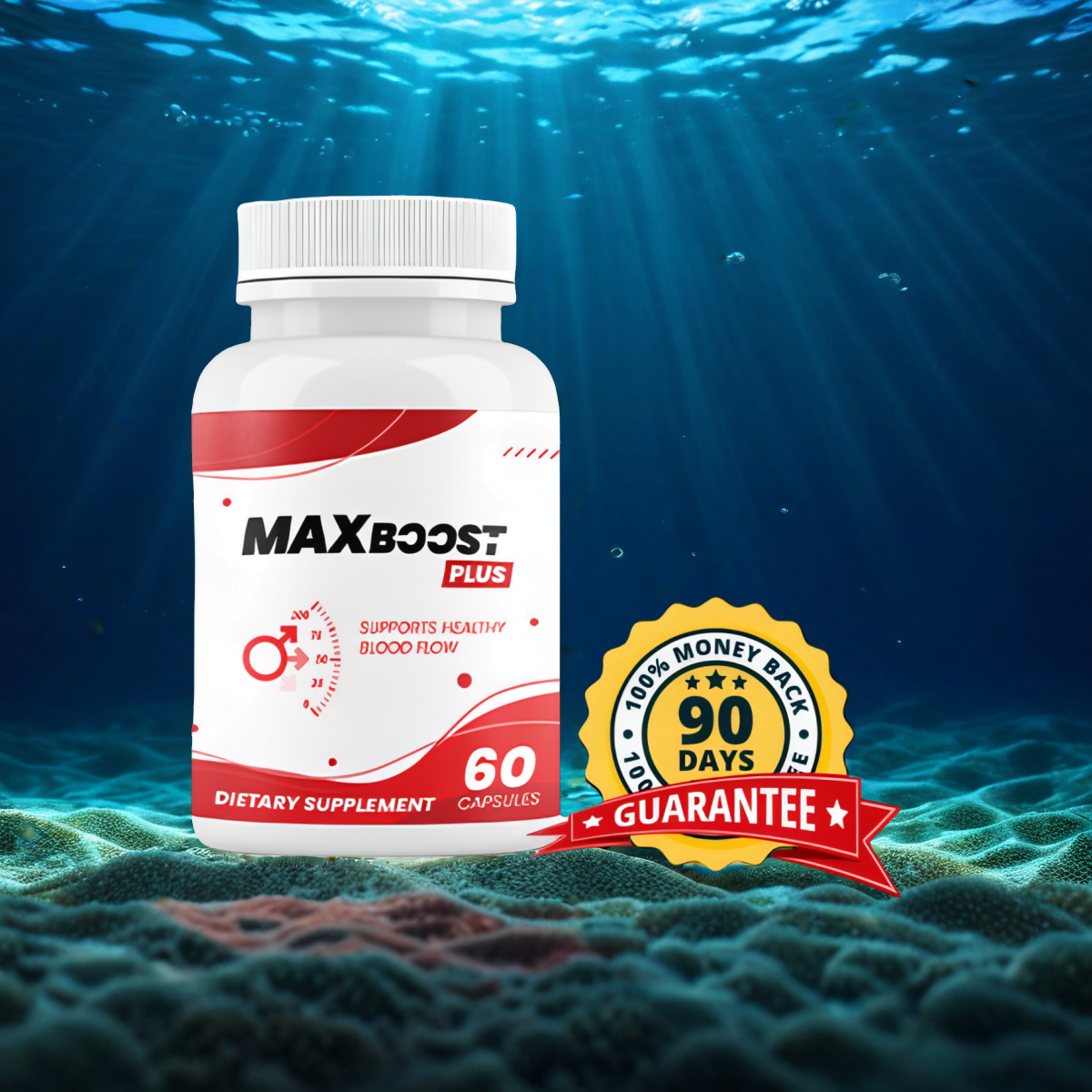 MaxBoost Plus 1 Bottle