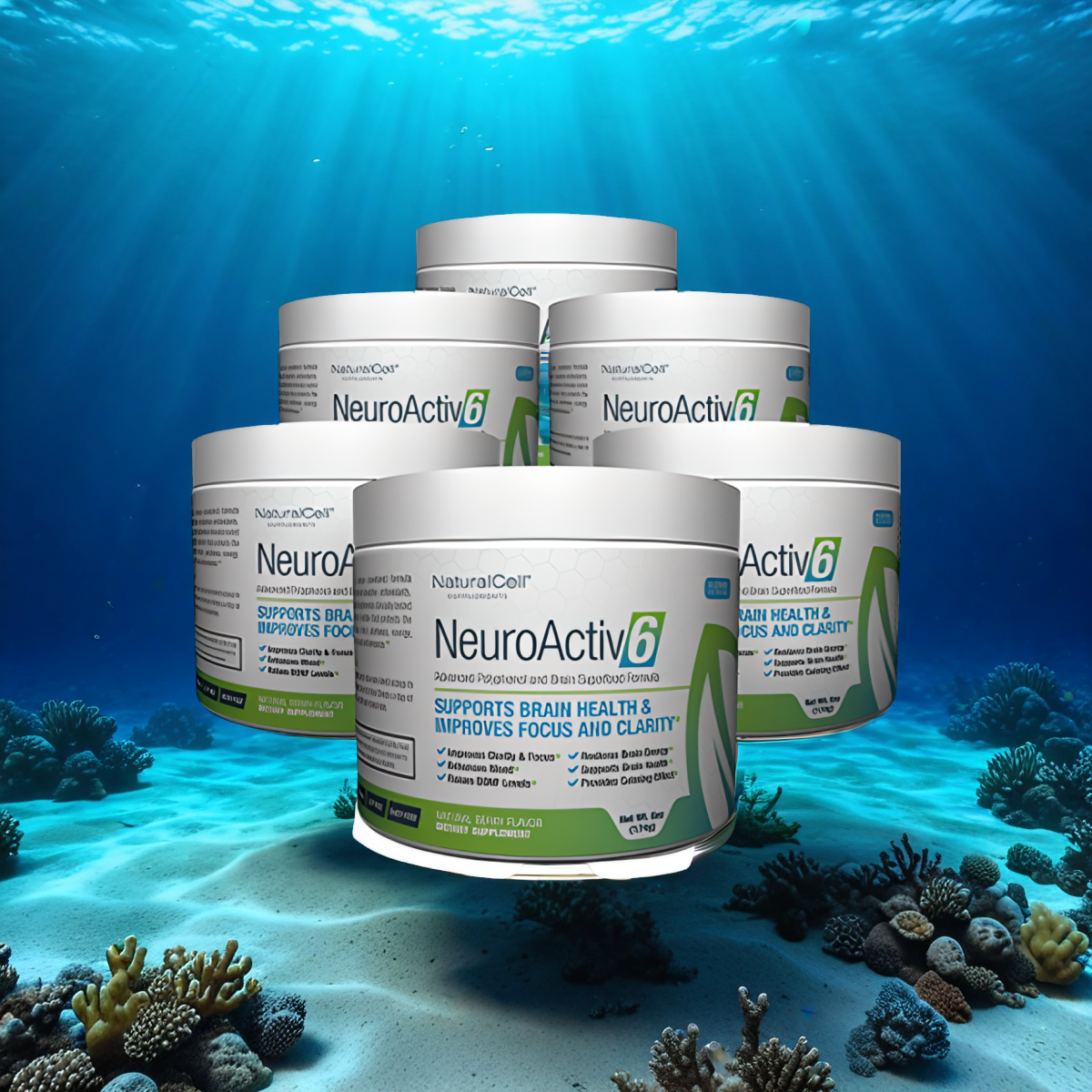 NeuroActiv6 - 6 jars