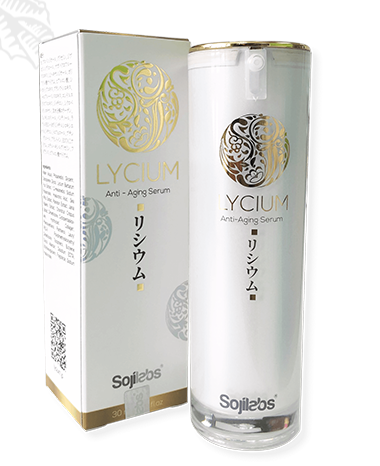 Lycium